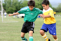 Warriors Soccer