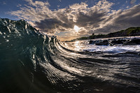 Purchase Prints from 2025