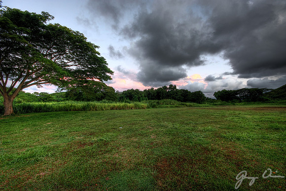Pasture